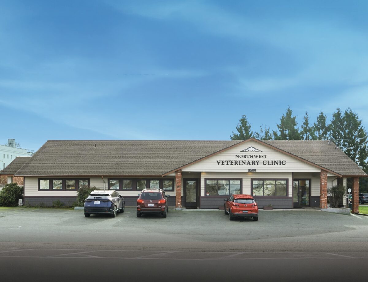 PETVET CARE CENTER